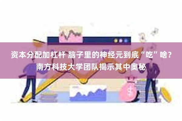 资本分配加杠杆 脑子里的神经元到底“吃”啥？南方科技大学团队揭示其中奥秘