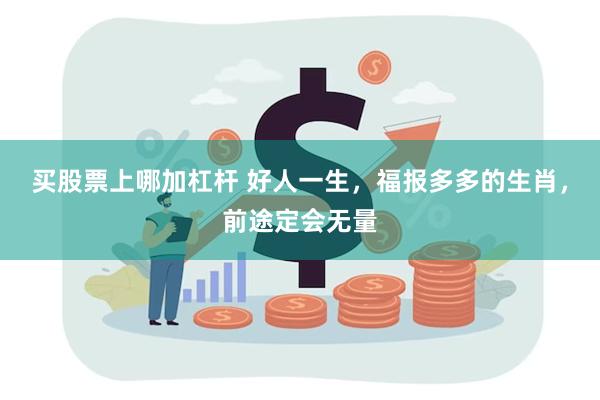 买股票上哪加杠杆 好人一生，福报多多的生肖，前途定会无量