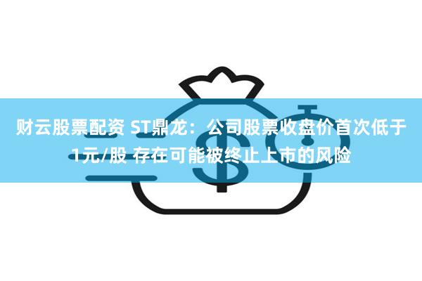 财云股票配资 ST鼎龙：公司股票收盘价首次低于1元/股 存在可能被终止上市的风险