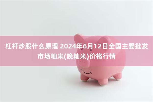 杠杆炒股什么原理 2024年6月12日全国主要批发市场籼米(晚籼米)价格行情