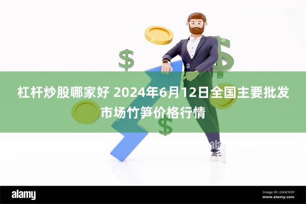 杠杆炒股哪家好 2024年6月12日全国主要批发市场竹笋价格行情