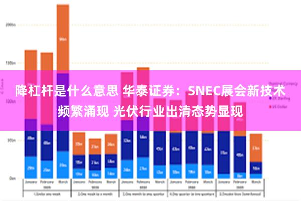 降杠杆是什么意思 华泰证券：SNEC展会新技术频繁涌现 光伏行业出清态势显现