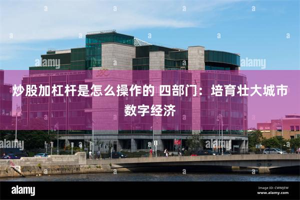 炒股加杠杆是怎么操作的 四部门：培育壮大城市数字经济