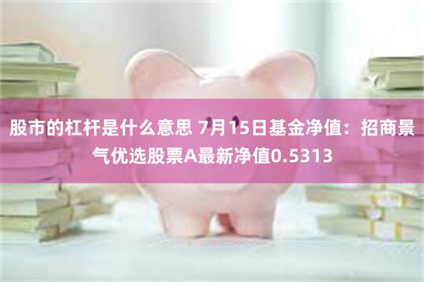 股市的杠杆是什么意思 7月15日基金净值：招商景气优选股票A最新净值0.5313