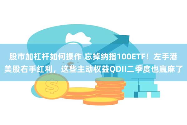 股市加杠杆如何操作 忘掉纳指100ETF！左手港美股右手红利，这些主动权益QDII二季度也赢麻了