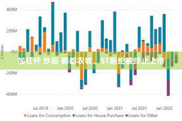 加杠杆 炒股 鹏都农牧、ST新纶被终止上市