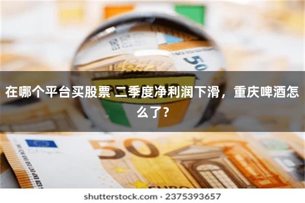 在哪个平台买股票 二季度净利润下滑，重庆啤酒怎么了？