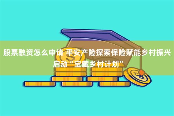 股票融资怎么申请 平安产险探索保险赋能乡村振兴 启动“宝藏乡村计划”