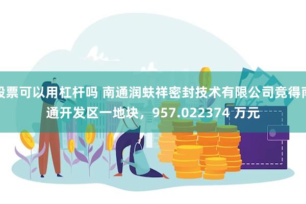 股票可以用杠杆吗 南通润蚨祥密封技术有限公司竞得南通开发区一地块，957.022374 万元