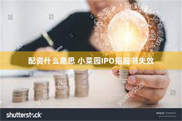 配资什么意思 小菜园IPO招股书失效