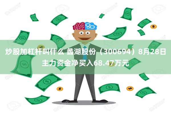 炒股加杠杆叫什么 蠡湖股份（300694）8月28日主力资金净买入68.47万元