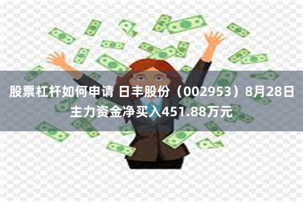 股票杠杆如何申请 日丰股份（002953）8月28日主力资金净买入451.88万元