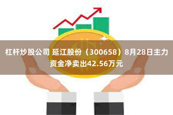 杠杆炒股公司 延江股份（300658）8月28日主力资金净卖出42.56万元