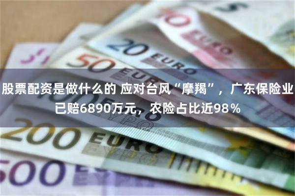 股票配资是做什么的 应对台风“摩羯”，广东保险业已赔6890万元，农险占比近98％