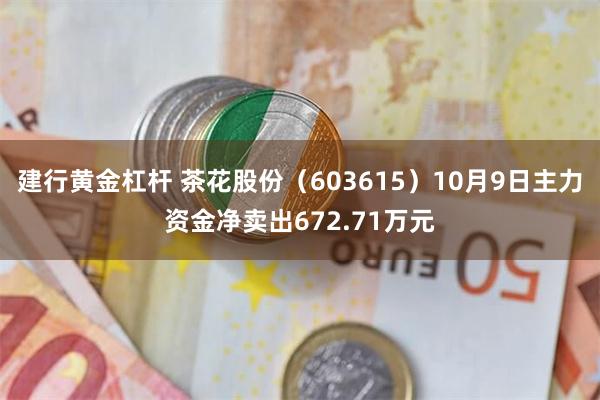 建行黄金杠杆 茶花股份（603615）10月9日主力资金净卖出672.71万元