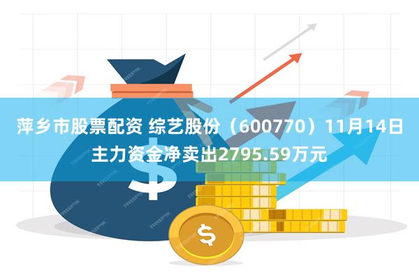 萍乡市股票配资 综艺股份（600770）11月14日主力资金净卖出2795.59万元