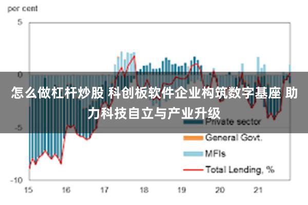 怎么做杠杆炒股 科创板软件企业构筑数字基座 助力科技自立与产业升级