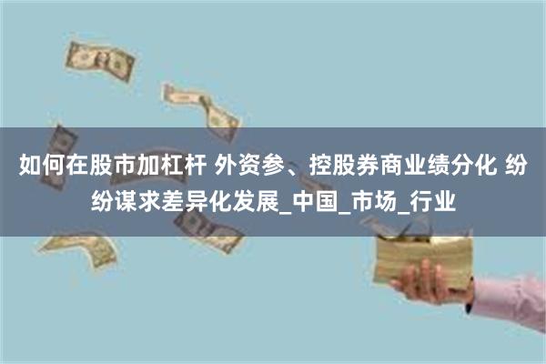如何在股市加杠杆 外资参、控股券商业绩分化 纷纷谋求差异化发展_中国_市场_行业